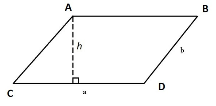 Công thức chính xác để tính chu vi và diện tích của hình bình hành